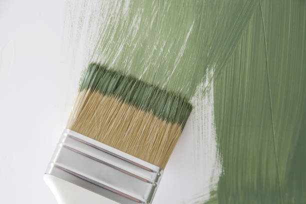 Best Emergency Mold Remediation  in Somers, MT