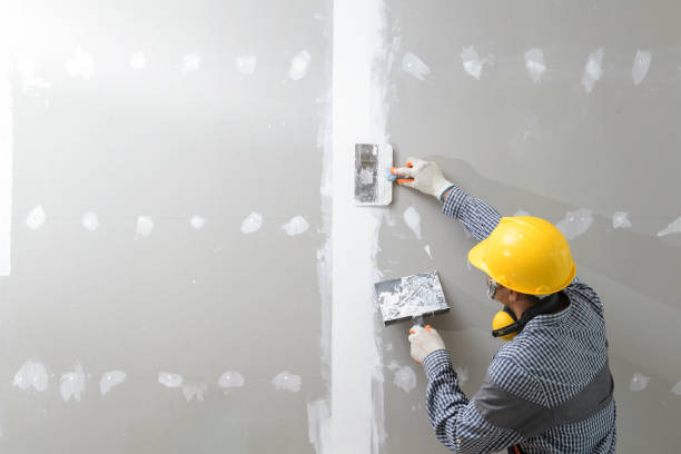 Best Environmental Consulting for Mold Prevention  in Somers, MT